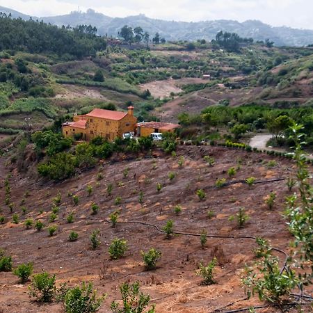 Moya  Las Casas De Lola Y Rafael المظهر الخارجي الصورة